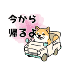 柴犬さん春のスタンプ（個別スタンプ：9）