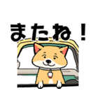 柴犬さん春のスタンプ（個別スタンプ：10）