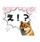 柴犬さん春のスタンプ（個別スタンプ：23）