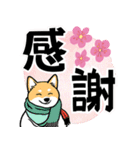 柴犬さん春のスタンプ（個別スタンプ：24）