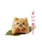 にゃん心、アツアツで一言（個別スタンプ：22）