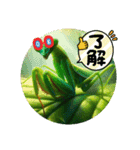 カマキリ①。。（個別スタンプ：7）