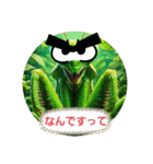 カマキリ①。。（個別スタンプ：10）