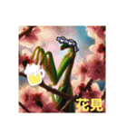 カマキリ①。。（個別スタンプ：14）