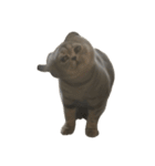 ねこの がおちゃん（個別スタンプ：38）