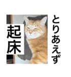 まいけるかわいいスタンプ2（個別スタンプ：3）
