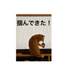 まいけるかわいいスタンプ2（個別スタンプ：16）