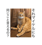 まいけるかわいいスタンプ2（個別スタンプ：25）