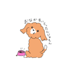 マルプーのイブちゃん 言い訳編（個別スタンプ：1）