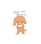 マルプーのイブちゃん 言い訳編（個別スタンプ：3）