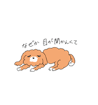マルプーのイブちゃん 言い訳編（個別スタンプ：4）