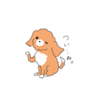 マルプーのイブちゃん 言い訳編（個別スタンプ：5）
