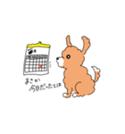 マルプーのイブちゃん 言い訳編（個別スタンプ：9）