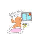 マルプーのイブちゃん 言い訳編（個別スタンプ：12）