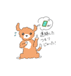マルプーのイブちゃん 言い訳編（個別スタンプ：21）