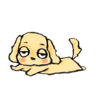 ゆるだる犬【太郎】1（個別スタンプ：12）