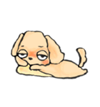 ゆるだる犬【太郎】1（個別スタンプ：18）