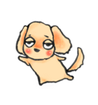 ゆるだる犬【太郎】1（個別スタンプ：28）