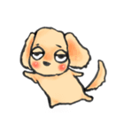 ゆるだる犬【太郎】1（個別スタンプ：29）