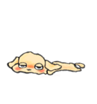 ゆるだる犬【太郎】1（個別スタンプ：37）