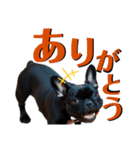 フレブル STP（個別スタンプ：4）