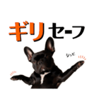 フレブル STP（個別スタンプ：36）