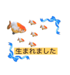 きんぎょ わーるど2（個別スタンプ：20）