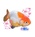 きんぎょ わーるど2（個別スタンプ：22）