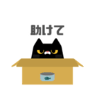 図形クロネコと日常会話（個別スタンプ：17）