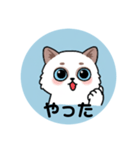 可愛い青い猫（個別スタンプ：1）