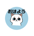 可愛い青い猫（個別スタンプ：2）