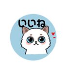 可愛い青い猫（個別スタンプ：4）