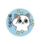 可愛い青い猫（個別スタンプ：6）