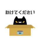 図形クロネコと日常会話(敬語ver.)（個別スタンプ：17）
