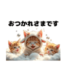 Cute Cats 猫たち【挨拶＆ゆるい日常会話】（個別スタンプ：3）
