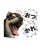 チクワのきもち10（個別スタンプ：4）