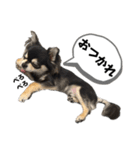 チクワのきもち10（個別スタンプ：5）