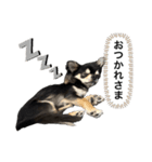 チクワのきもち10（個別スタンプ：6）