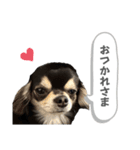 チクワのきもち10（個別スタンプ：7）