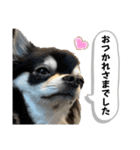 チクワのきもち10（個別スタンプ：8）