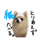 可愛い犬のミル 1（個別スタンプ：19）