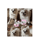 可愛い犬のミル 1（個別スタンプ：32）
