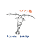 うみのいきものフレンズ（個別スタンプ：3）