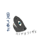うみのいきものフレンズ（個別スタンプ：21）