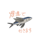 うみのいきものフレンズ（個別スタンプ：22）