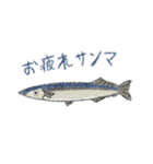 うみのいきものフレンズ（個別スタンプ：30）