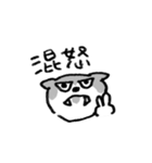 熊熊來襲！（個別スタンプ：7）