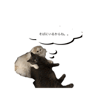 いやしのニャンコⅡ（個別スタンプ：4）