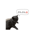 いやしのニャンコⅡ（個別スタンプ：18）