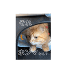 大阪弁むぎ様スタンプ（個別スタンプ：4）